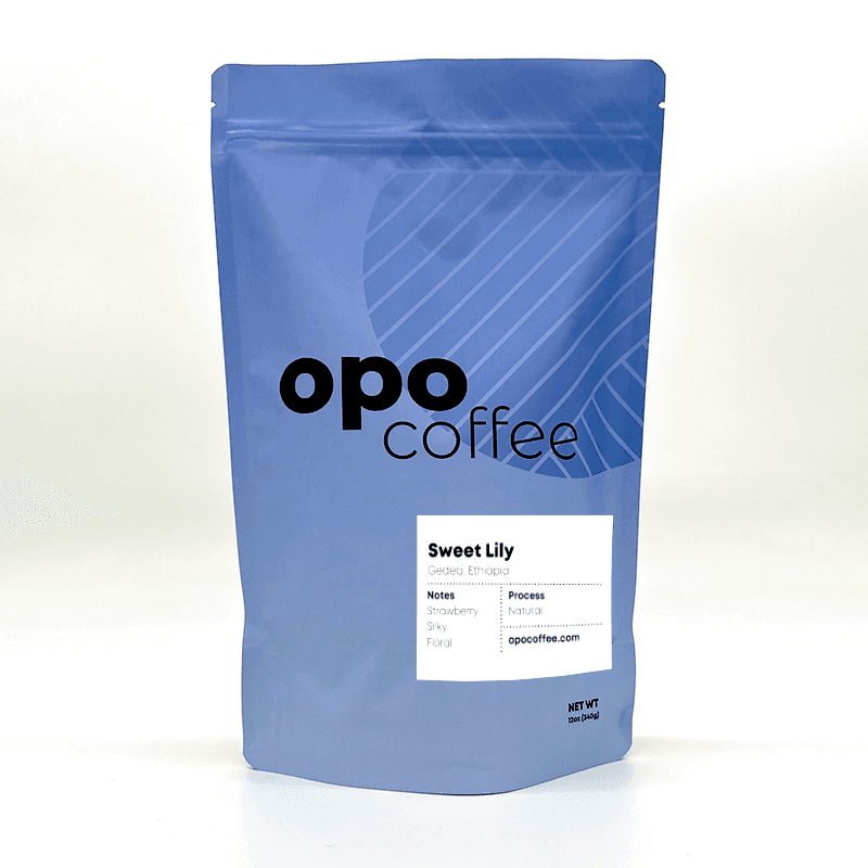 Image of Ethiopia Sweet Lily