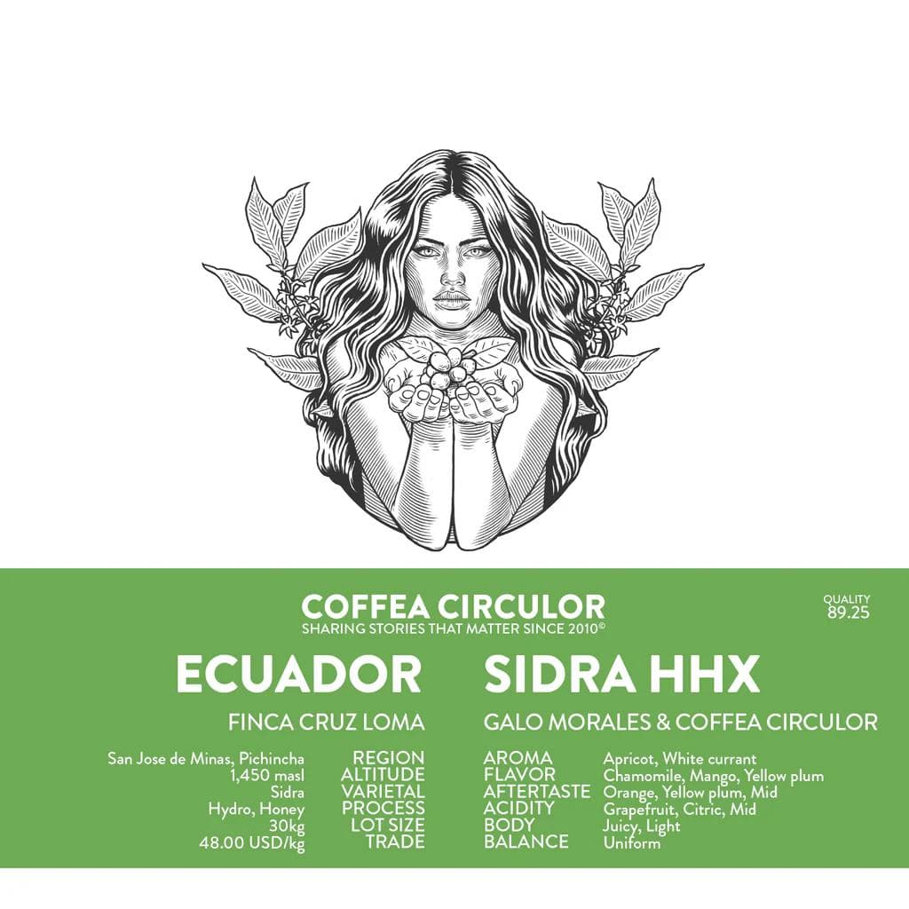 Image of ECUADOR Finca Cruz Loma and Coffea Circulor Sidra Hydro Honey HHX