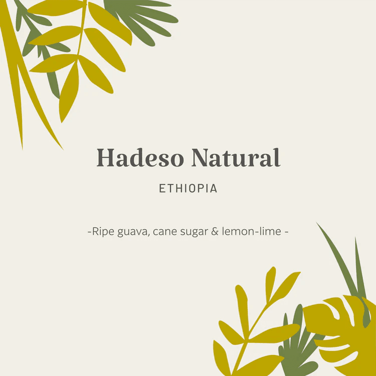 Image of Ethiopia | Hadeso Natural