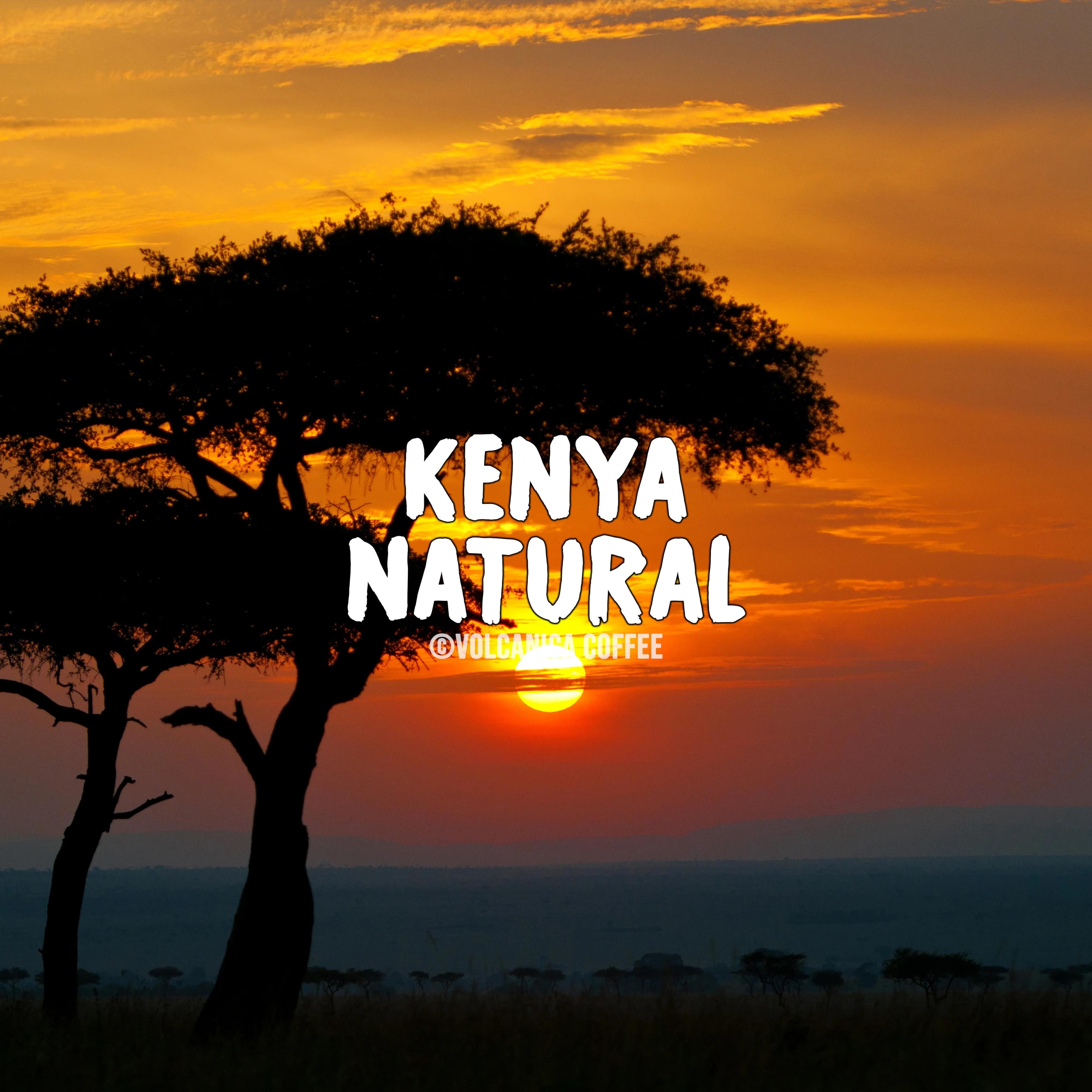 Image of Kenya Natural Process Coffee