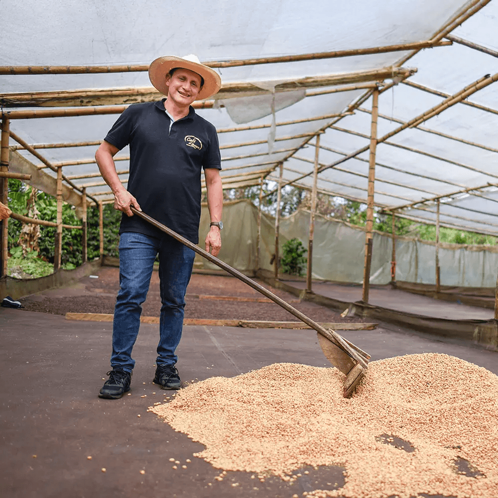 Image of Colombia Betania Chiroso
