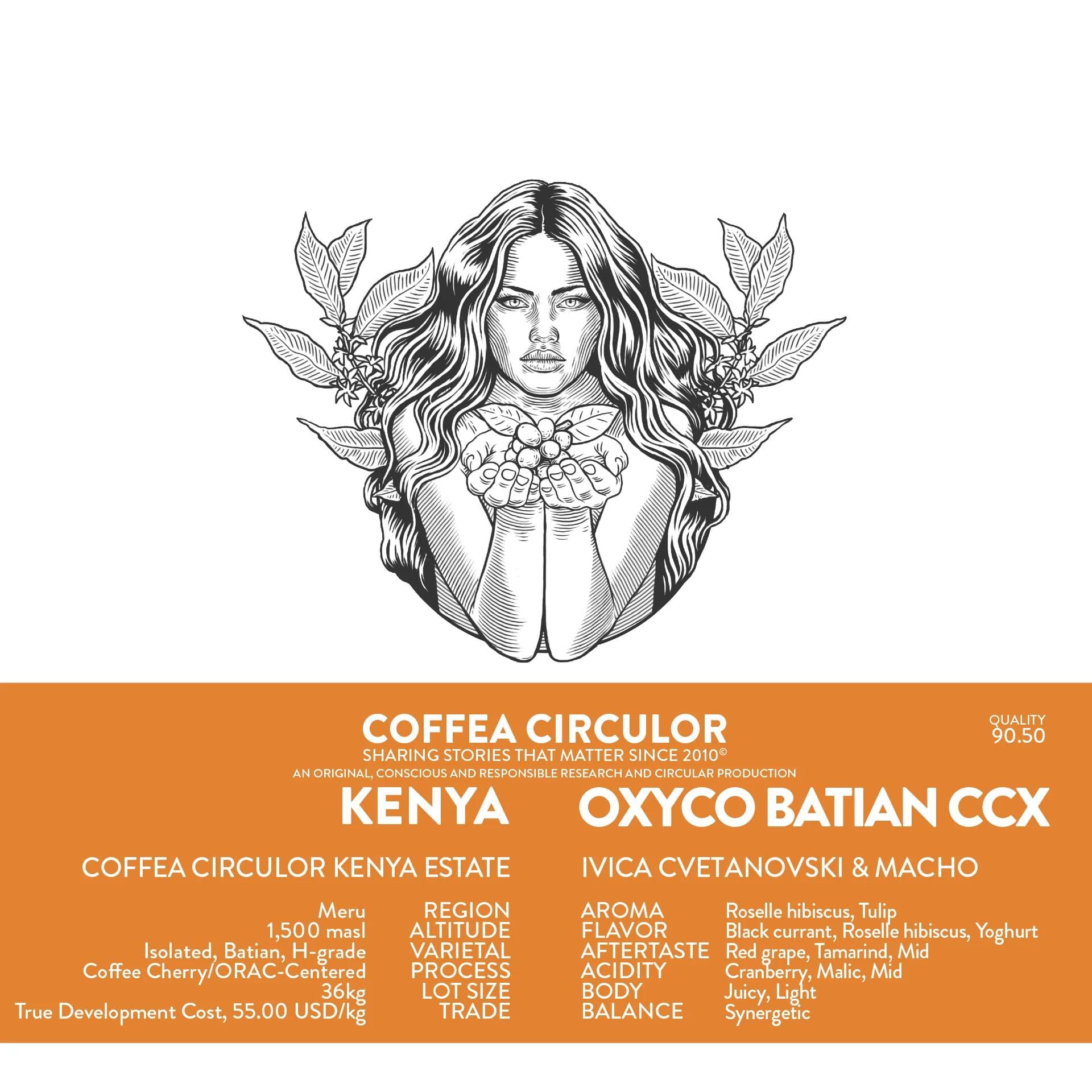 Image of Kenya Coffea Circulor Oxyco Isolated Batian Coffee Cherry-ORAC-Centered CCX