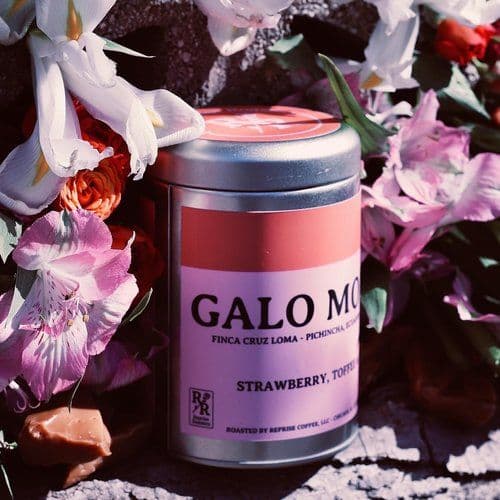 Image of Galo Morales - Gesha - Washed