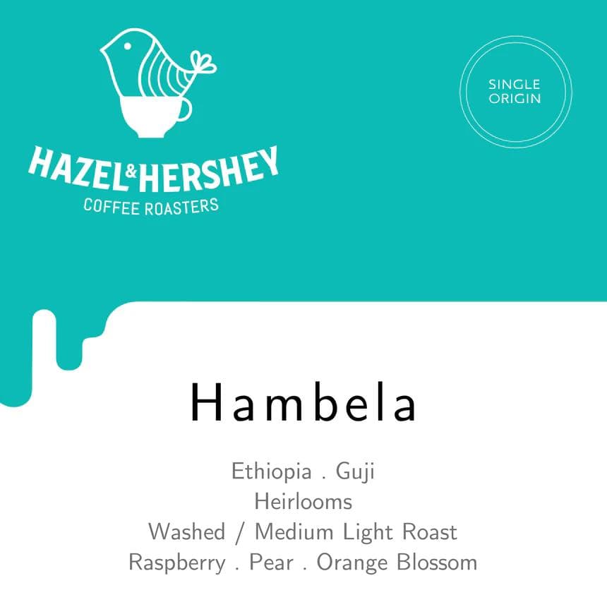 Image of Ethiopia Guji Hambela Washed