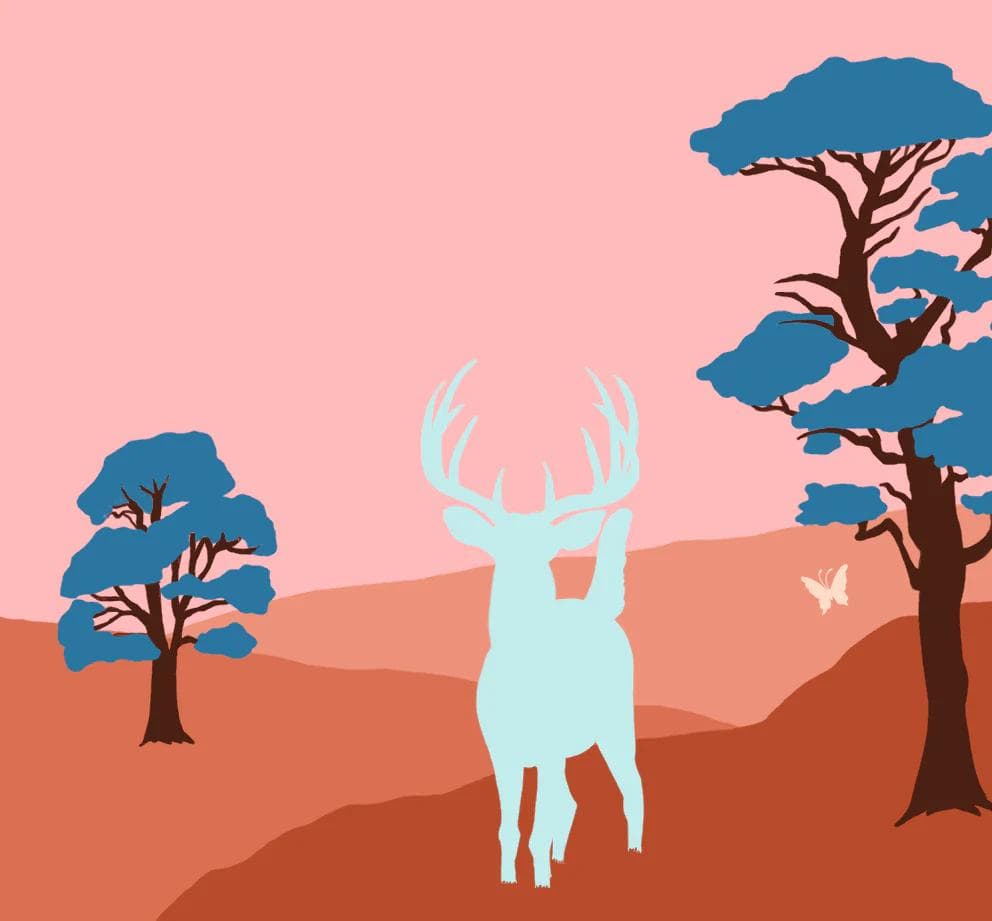 Image of Los Naranjos - Panama