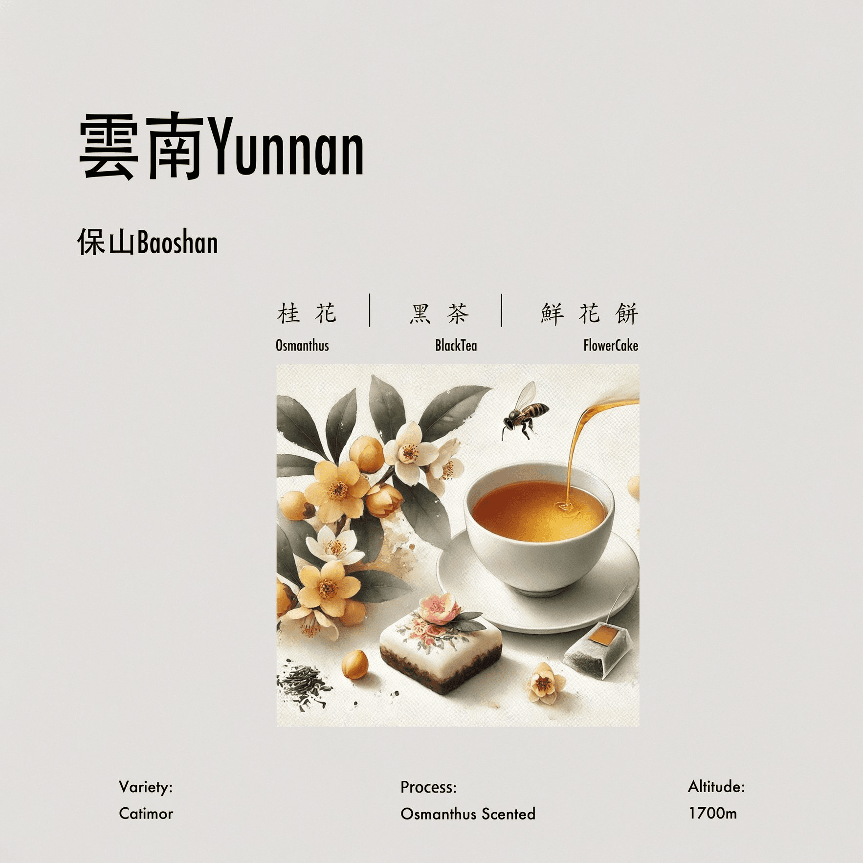 Image of Osmanthus scented Catimor