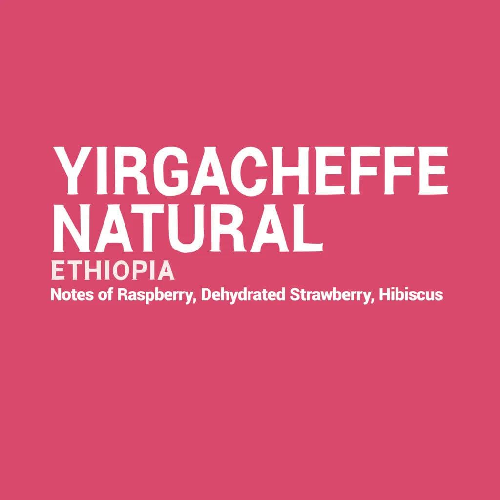 Image of Ethiopia - Yirgacheffe Natural