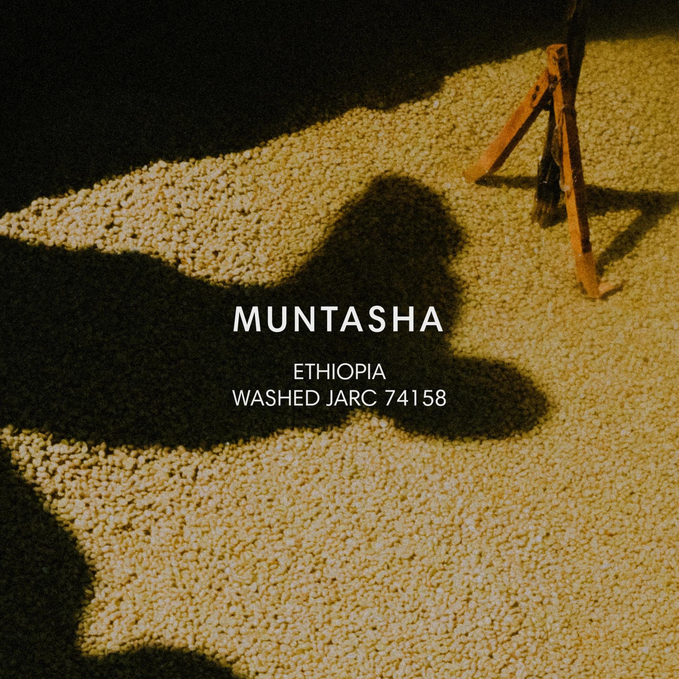 Image of Muntasha Washed
