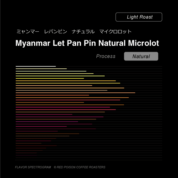Image of Myanmar Let Pan Pin Natural Microlot
