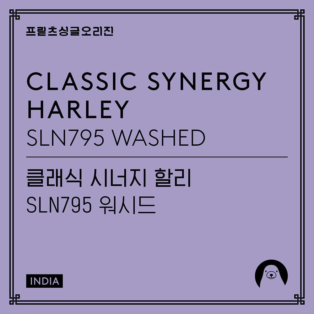 Image of [Fritz] Classic Synergy Harley SLN795 Washed