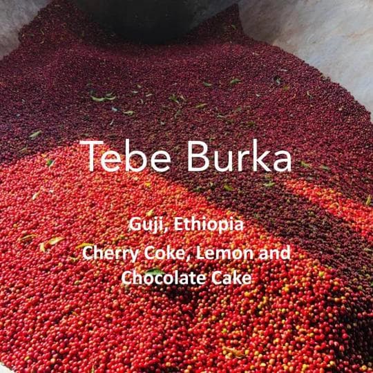 Image of Ethiopia Tebe Burka