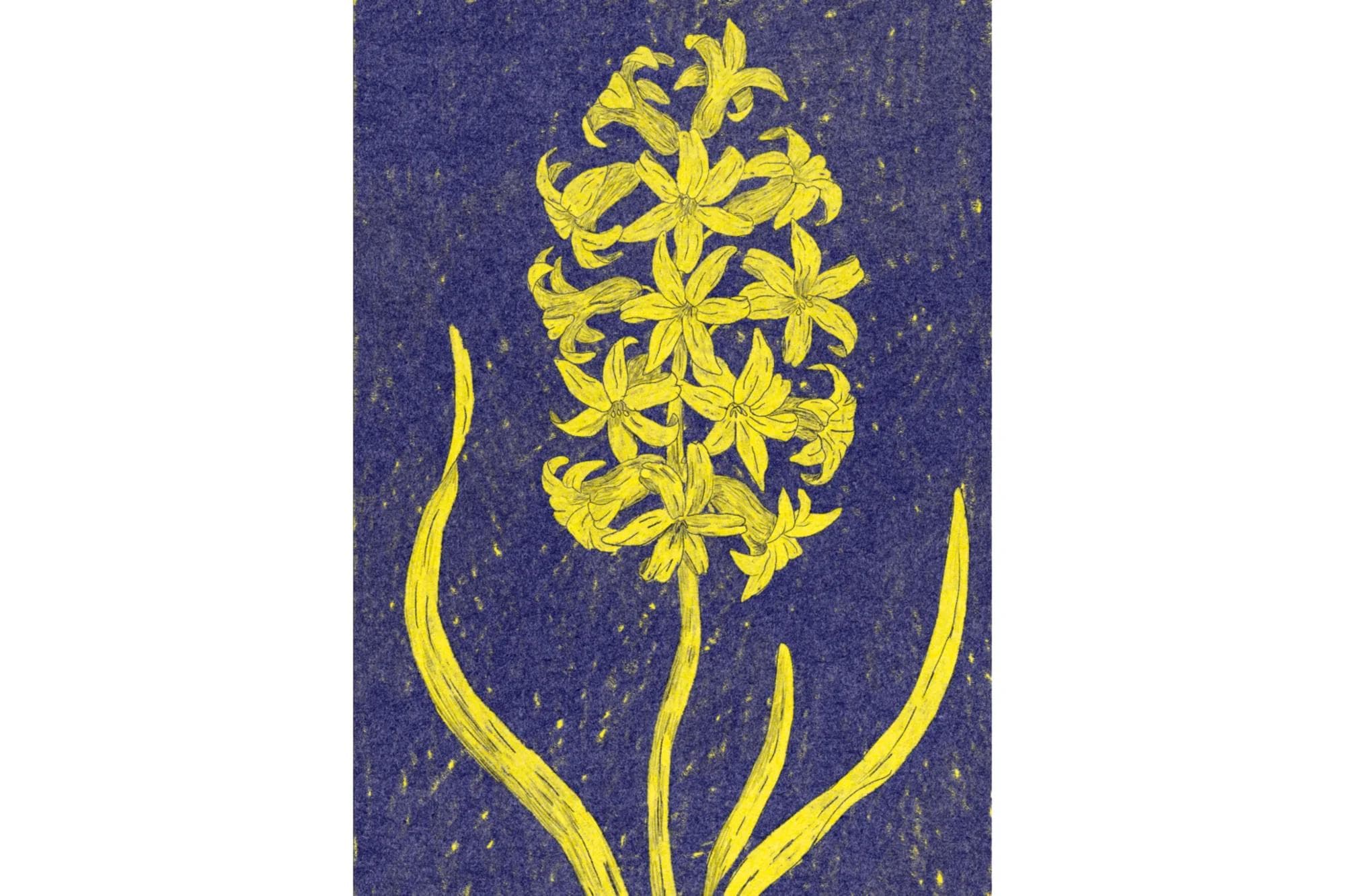 Image of Oscar Hernandez Colombia