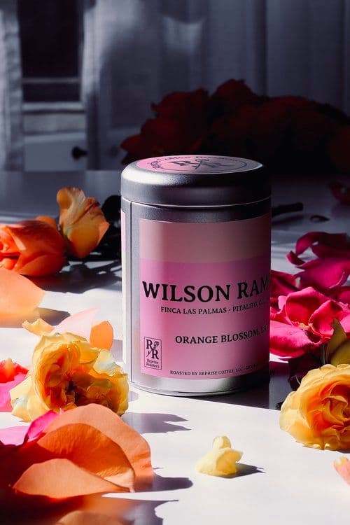 Image of Wilson Ramon - Gesha - Washed