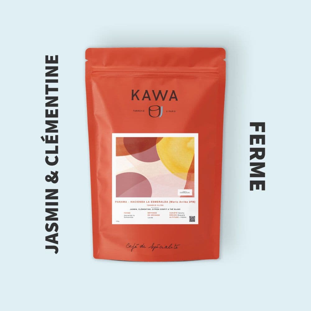 Image of The Emerald Estate Mario Arriba