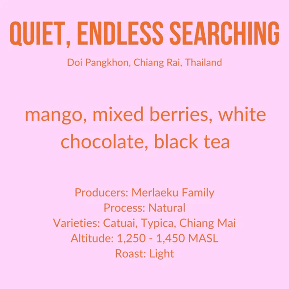 Image of Quiet Endless Searching Natural - Thailand