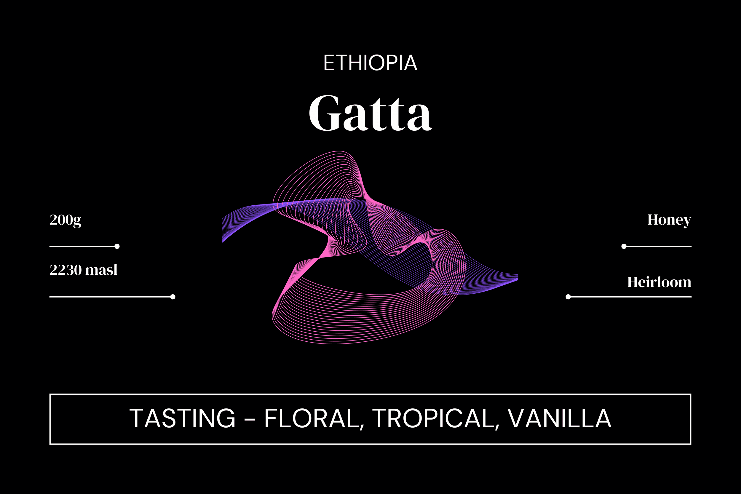 Image of Ethiopia - Gatta - Honey