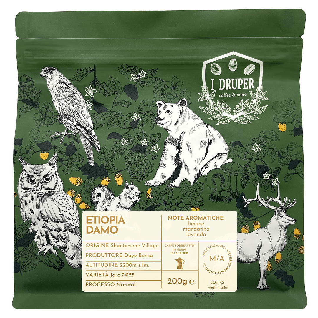 Image of Etiopia Damo