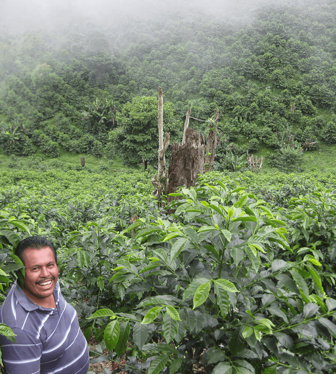 Image of Flor de la Pena