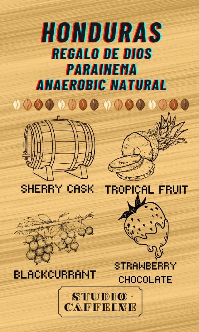 Image of Honduras Regalo de Dios Parainema Anaerobic Natural