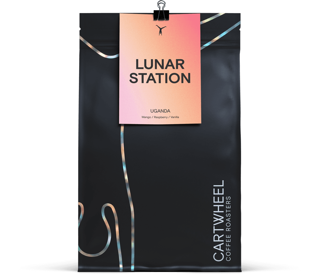 Image of Lunar Station