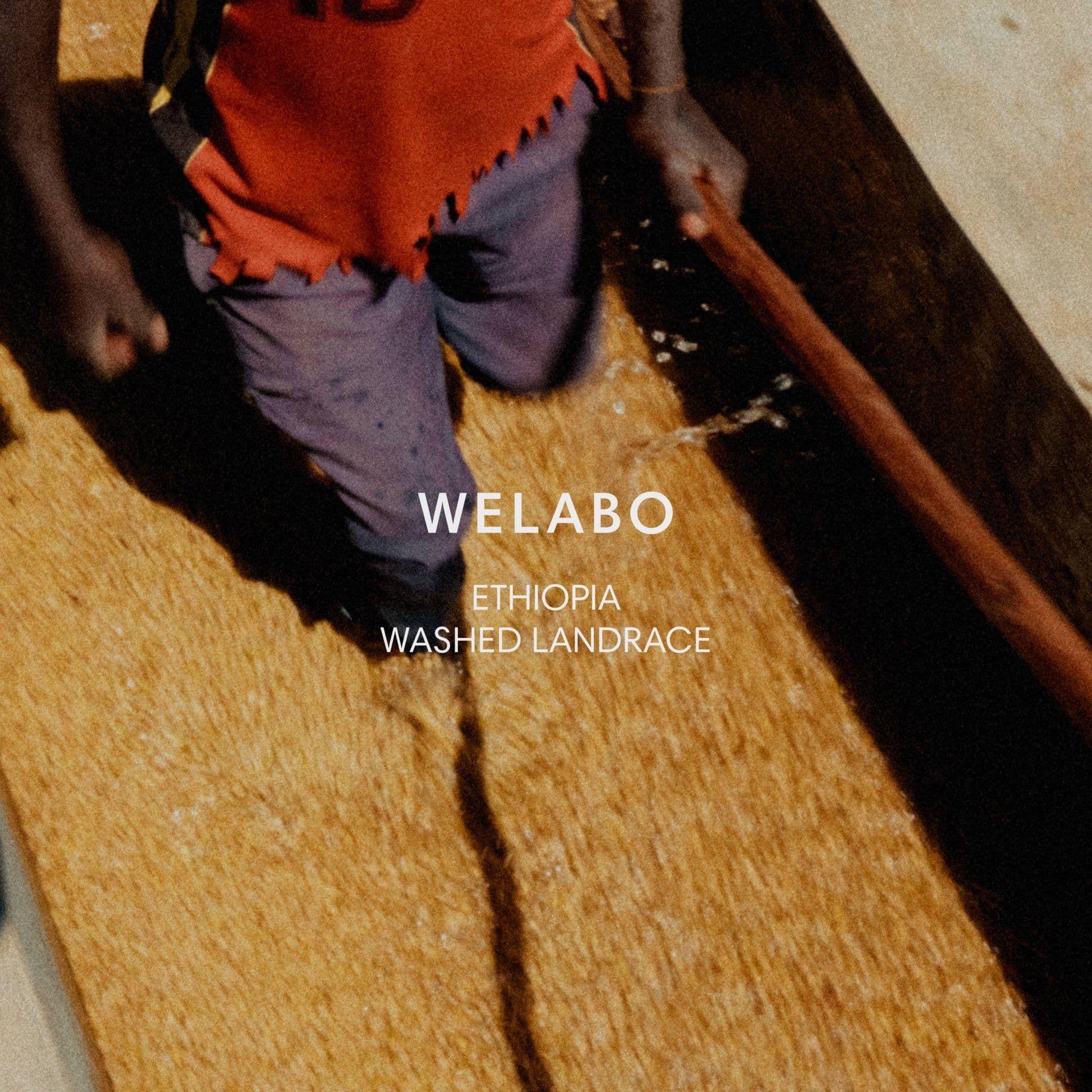 Image of Welabo