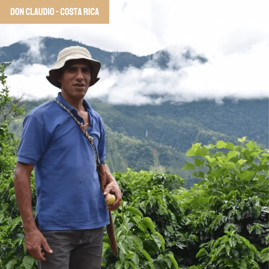 Image of Don Claudio Costa Rica