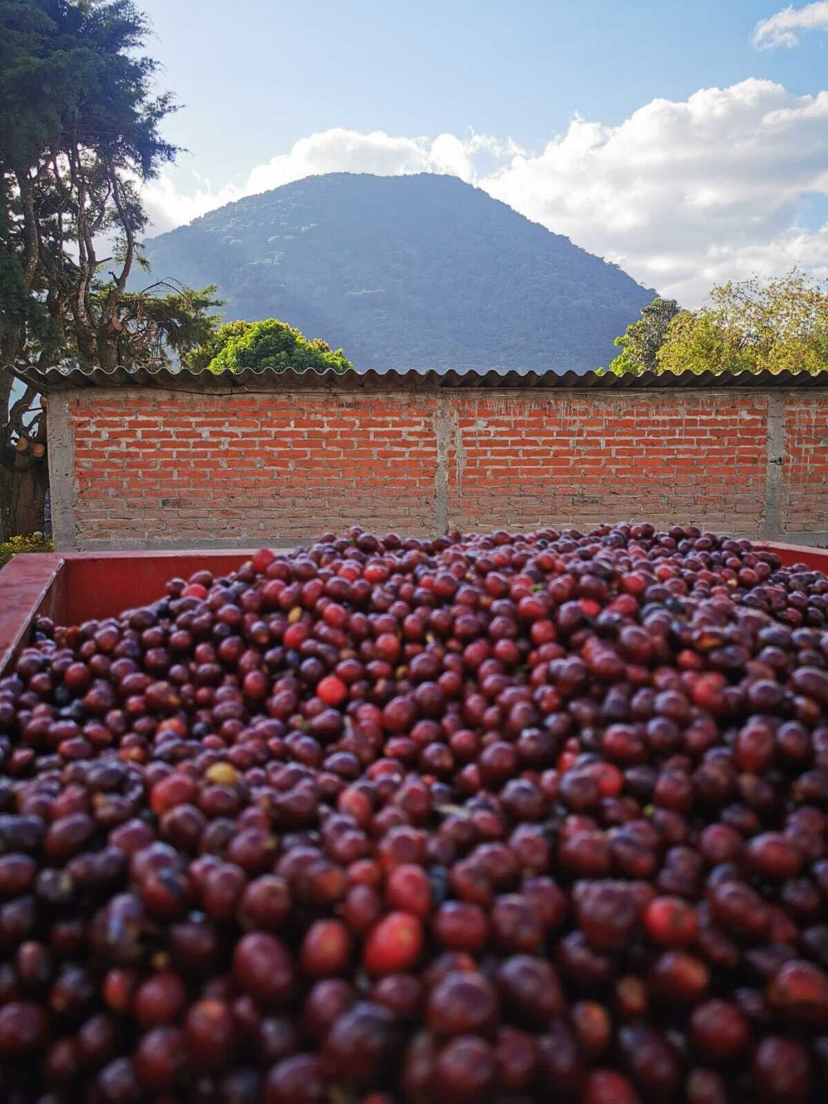 Image of San Antonio El Salvador