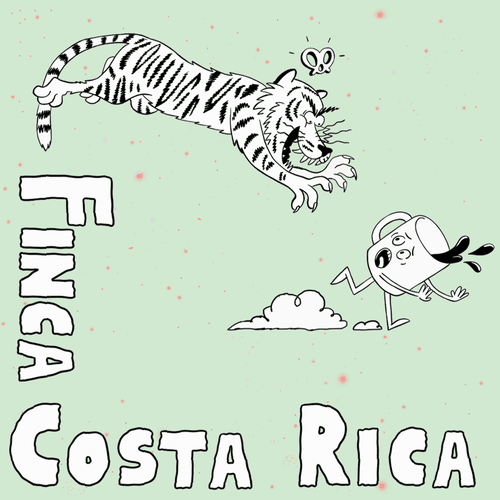 Image of Finca Costa Rica Colombia Huila