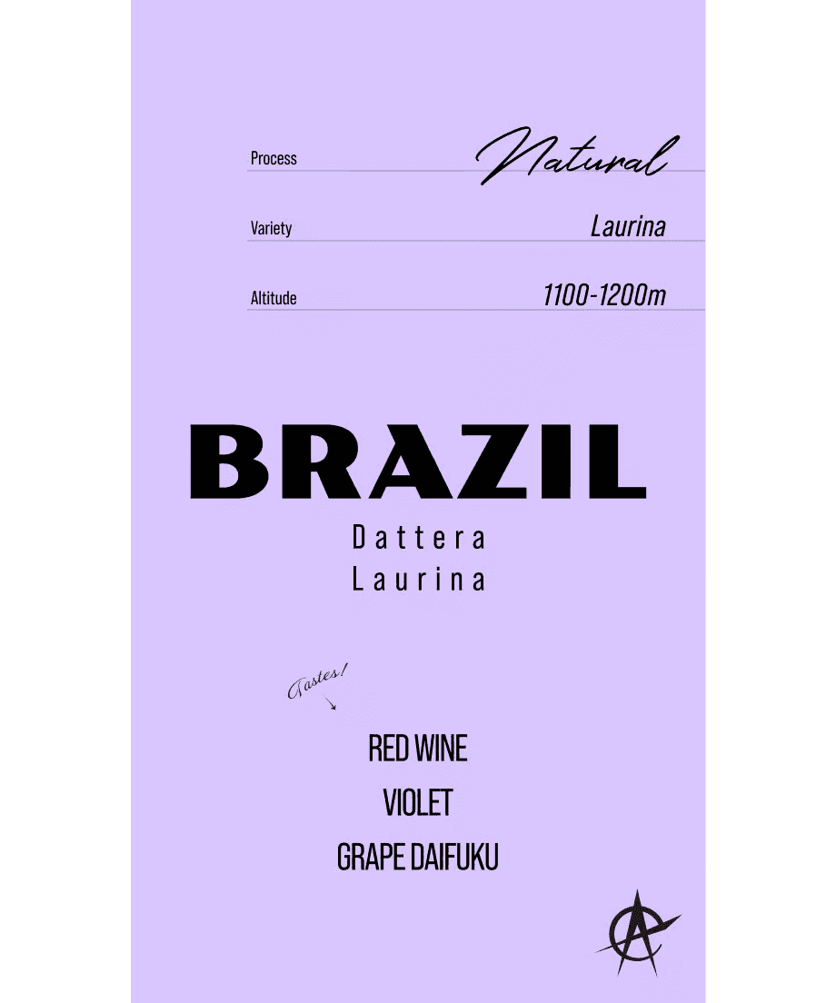 Image of Brazil Dattera Laurina - Natural