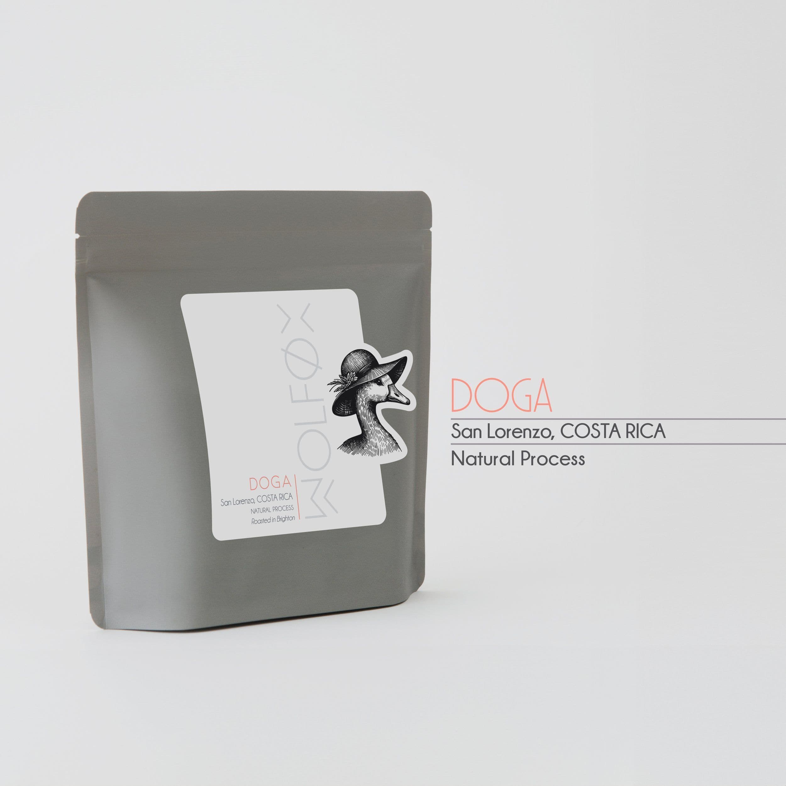 Image of Doga Costa Rica