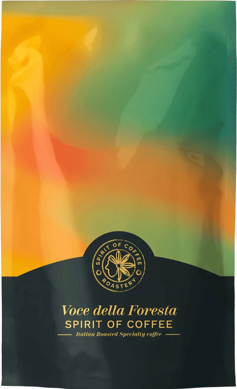 Image of Voice of the Forest