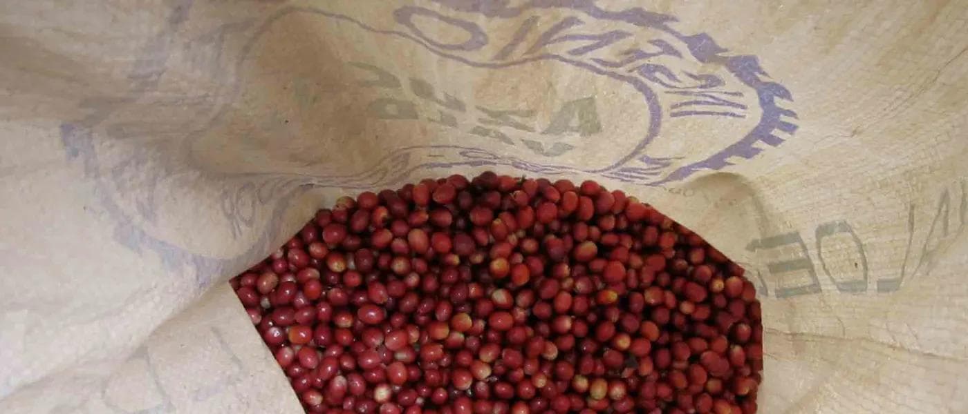 Image of Ecuador Oscar Proaño