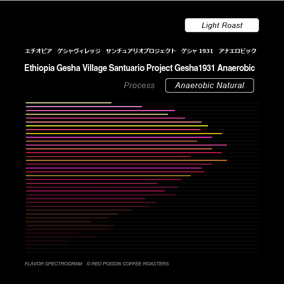 Image of Ethiopia Gesha Village Santuario Project Gesha1931 Anaerobic
