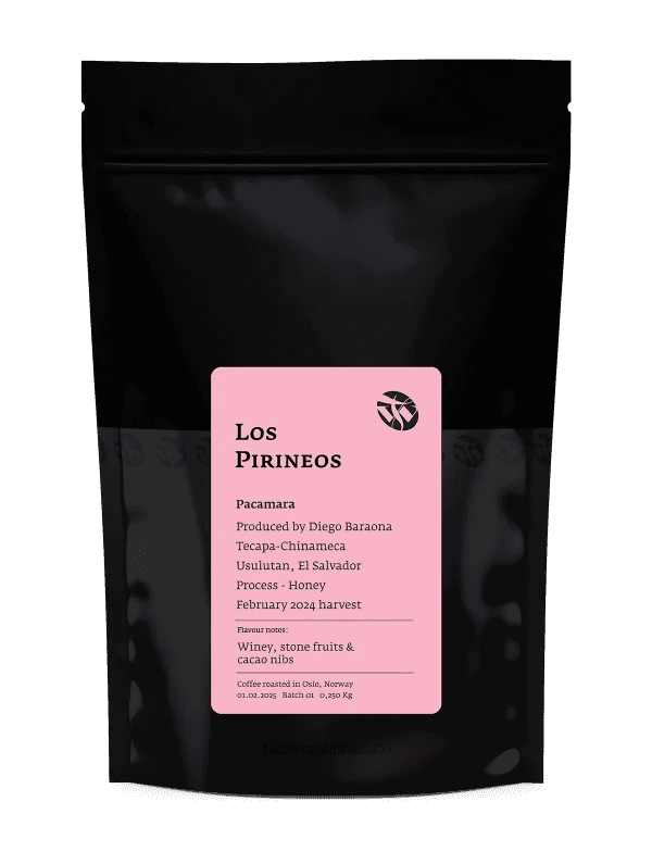 Image of Los Pirineos Pacamara Honey Processed