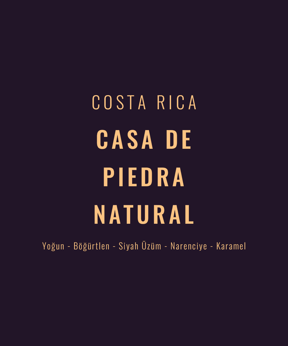 Image of Costa Rica - Casa de Piedra Natural