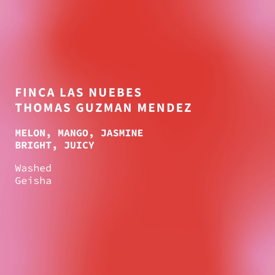 Image of Mexico Fincas Las Nuebes Washed