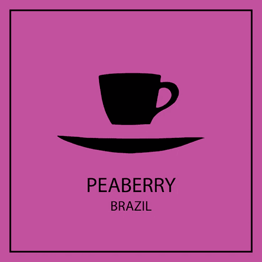Image of Peaberry - Brazil