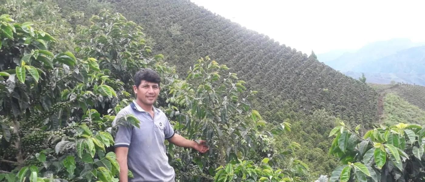 Image of Peru Finca El Pino Ever Castillo
