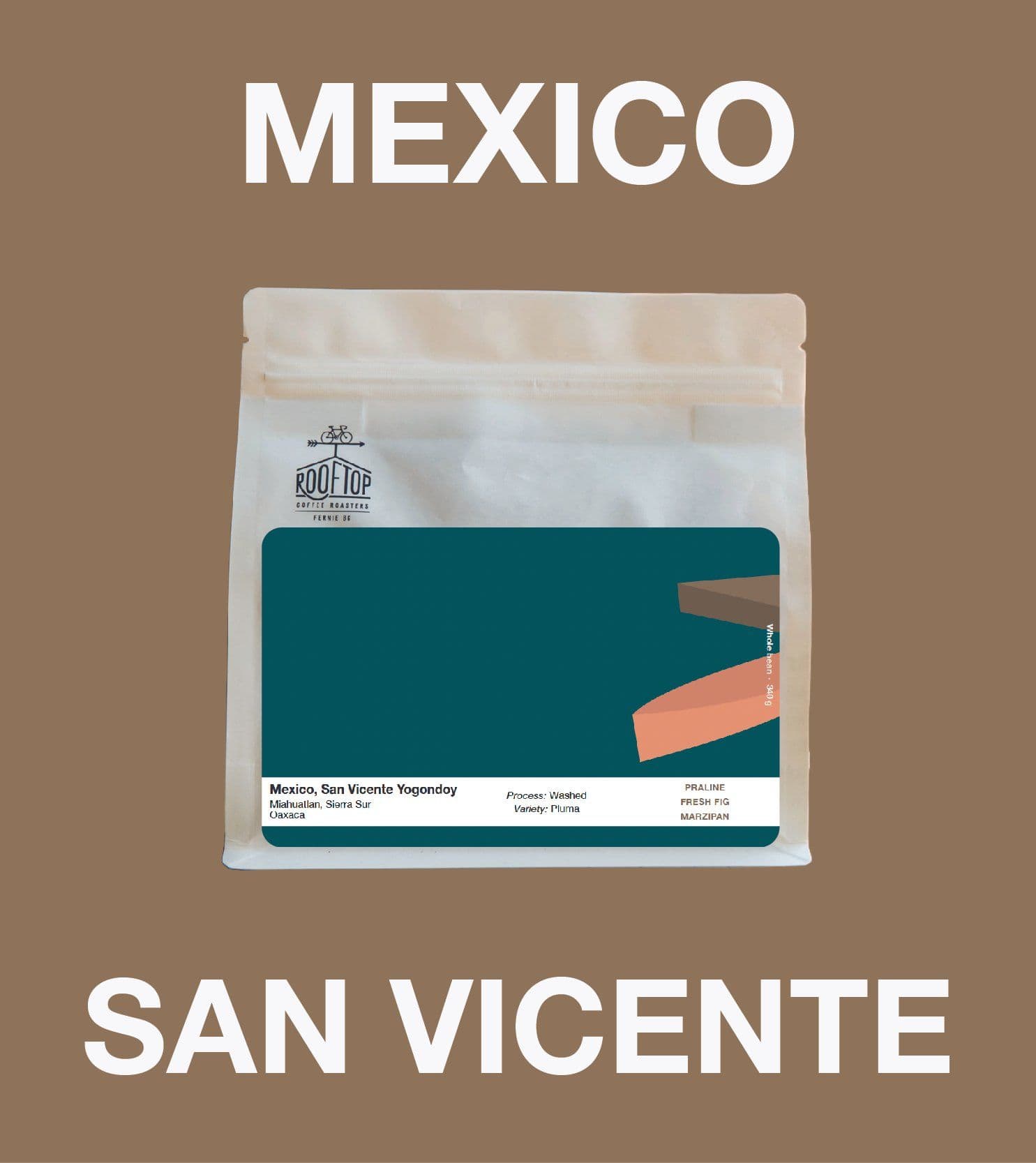 Image of Mexico, San Vicente Yogondoy