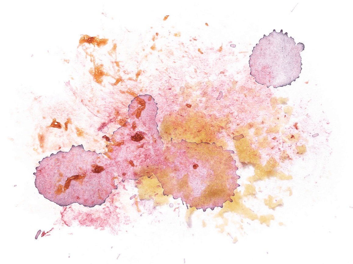 Image of Colombia Villa Betulia Primitivo