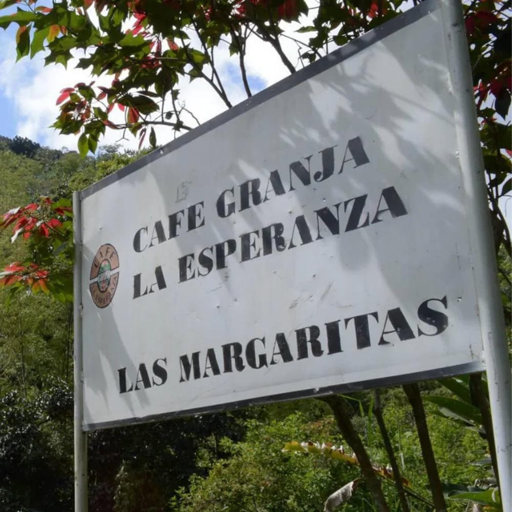 Image of Colombia - CGLE - Las Margaritas - Red Bourbon Honey