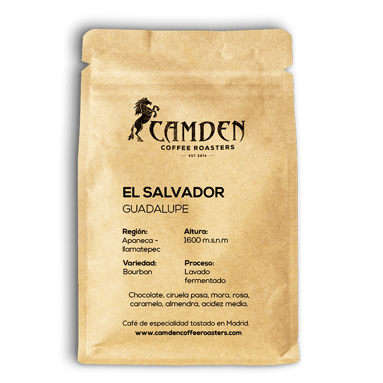 Image of El Salvador Guadalupe