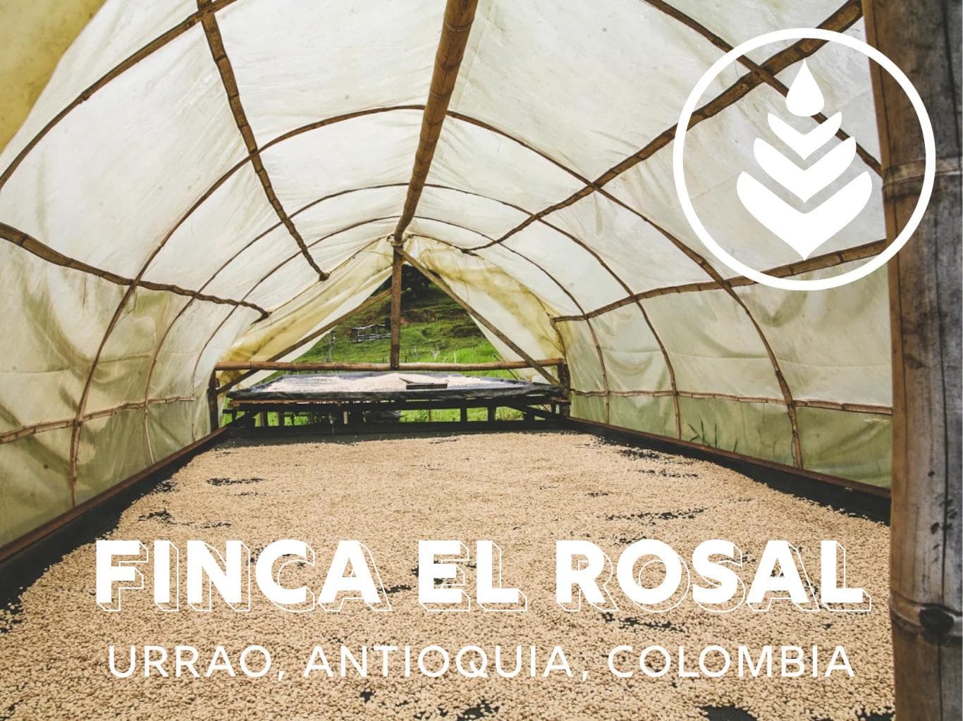 Image of Finca El Rosal