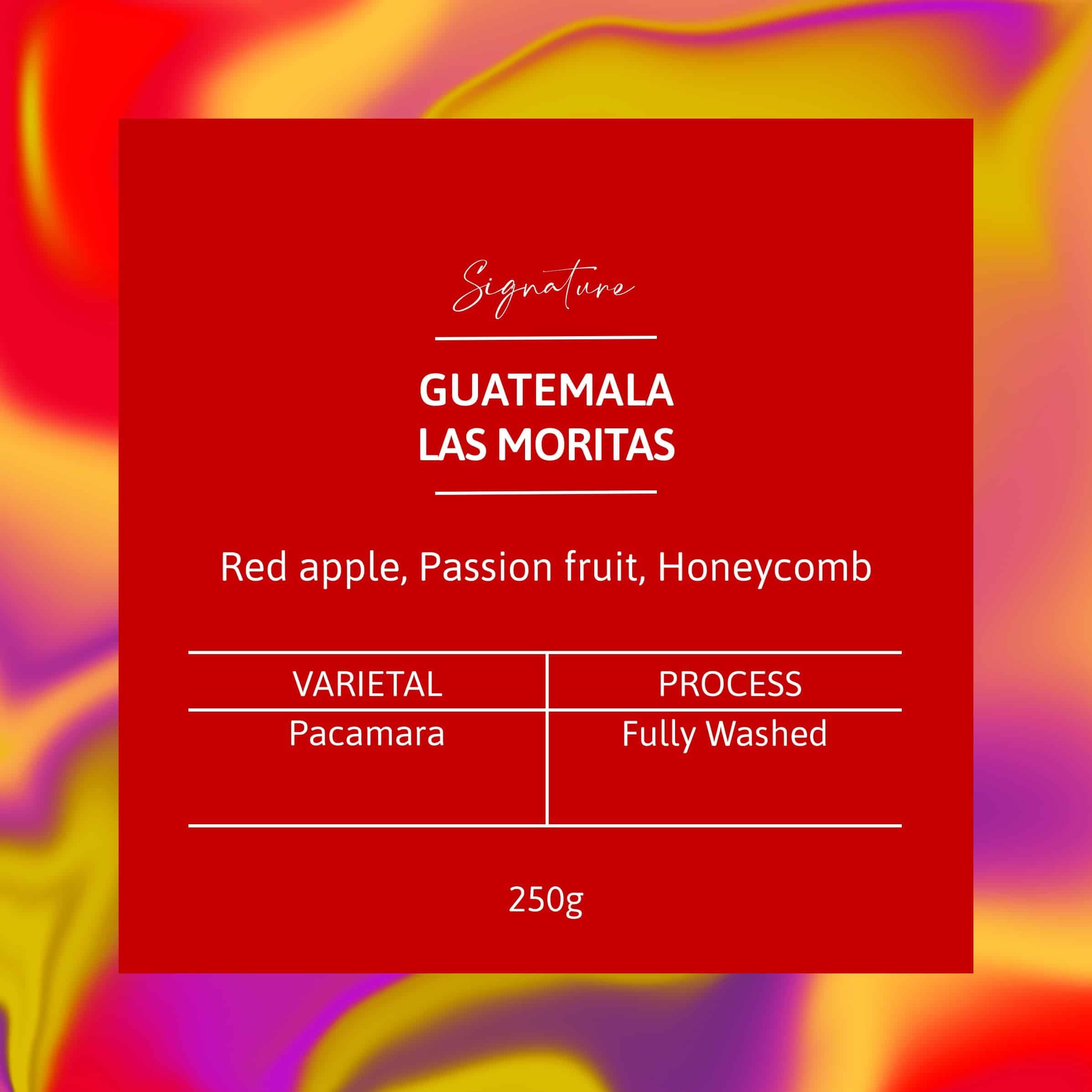 Image of Guatemala Las Moritas Pacamara