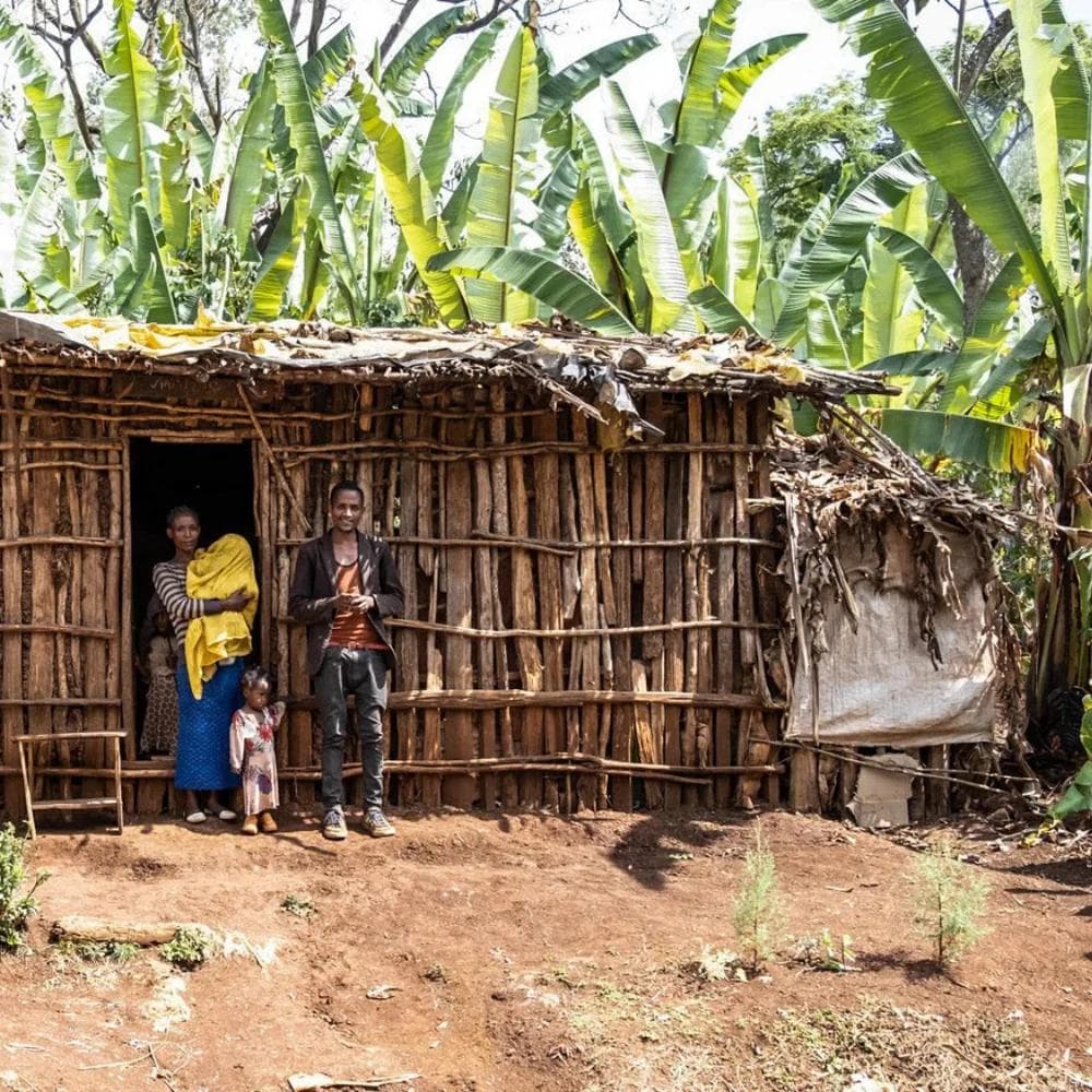 Image of Ethiopia - Hambela Wamena - Special Natural