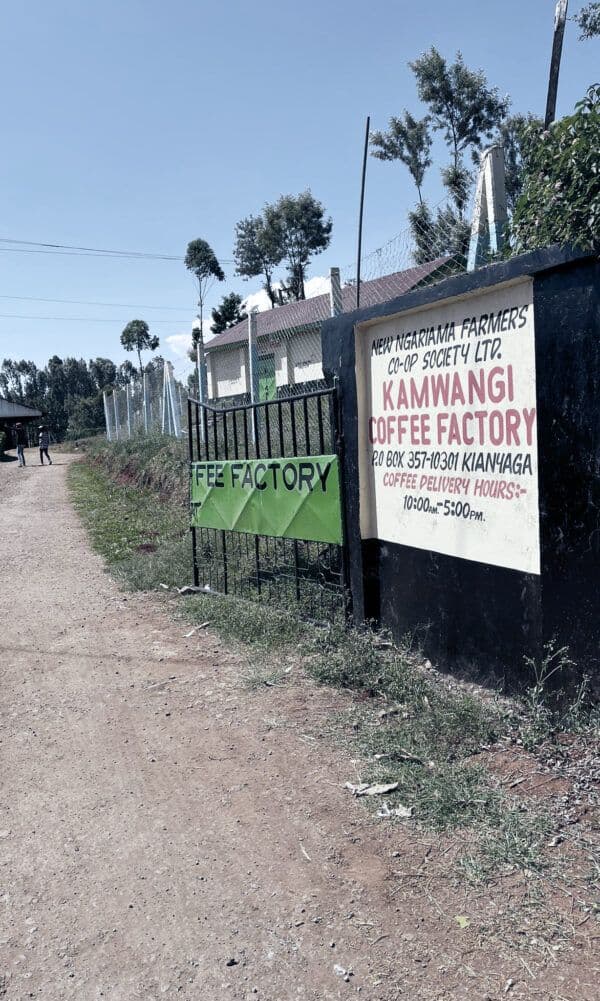 Image of Kamwangi