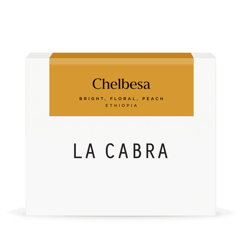 Image of Chelbesa