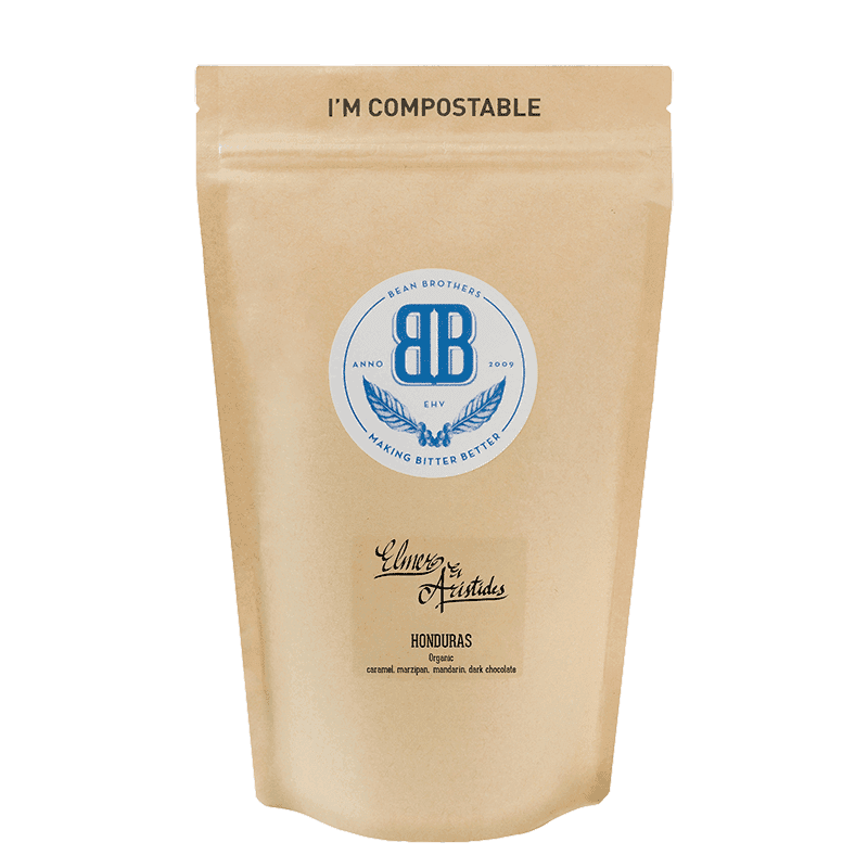 Image of Elmer - Aristides