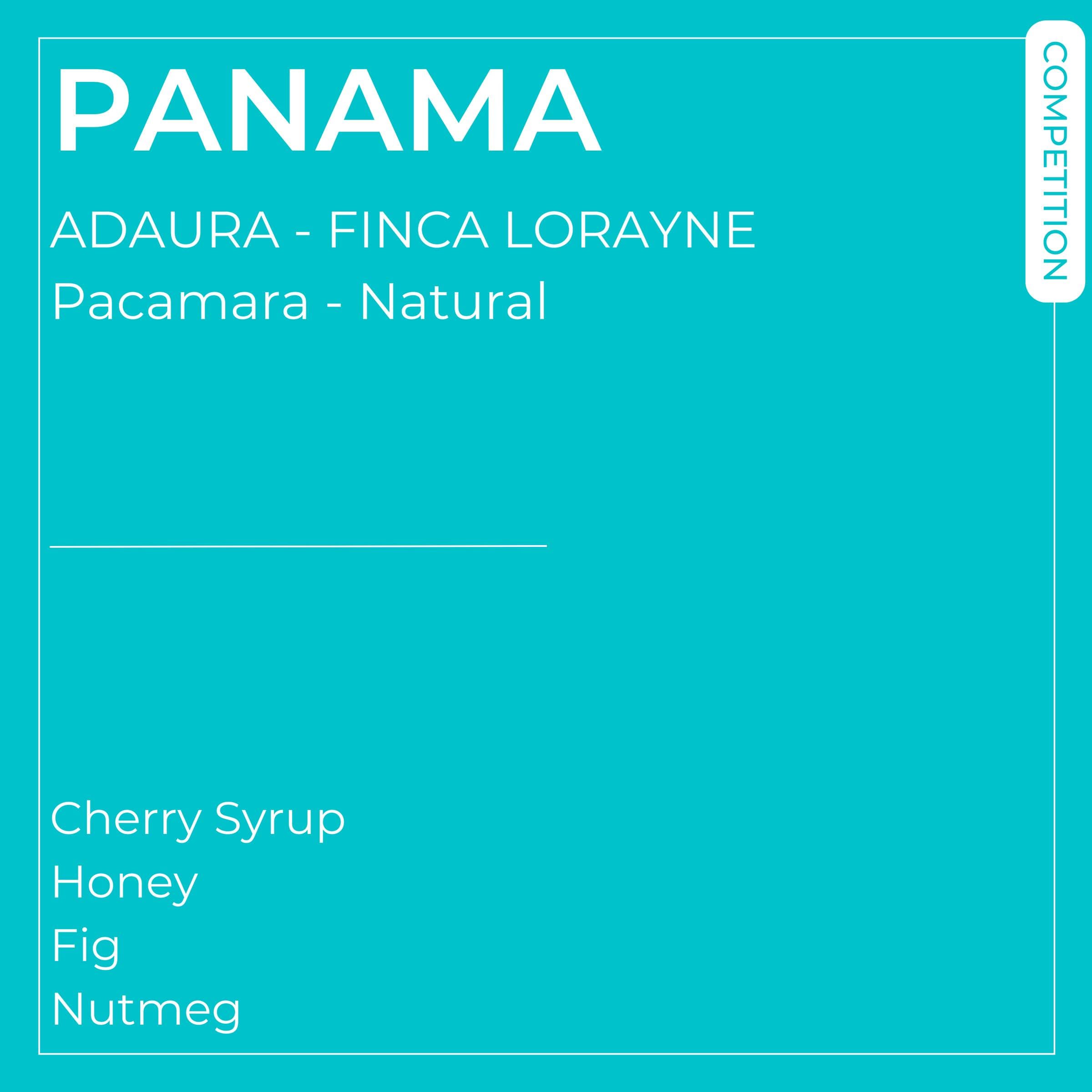 Image of Panama - Boquete - Finca Lorayne - Natural Pacamara