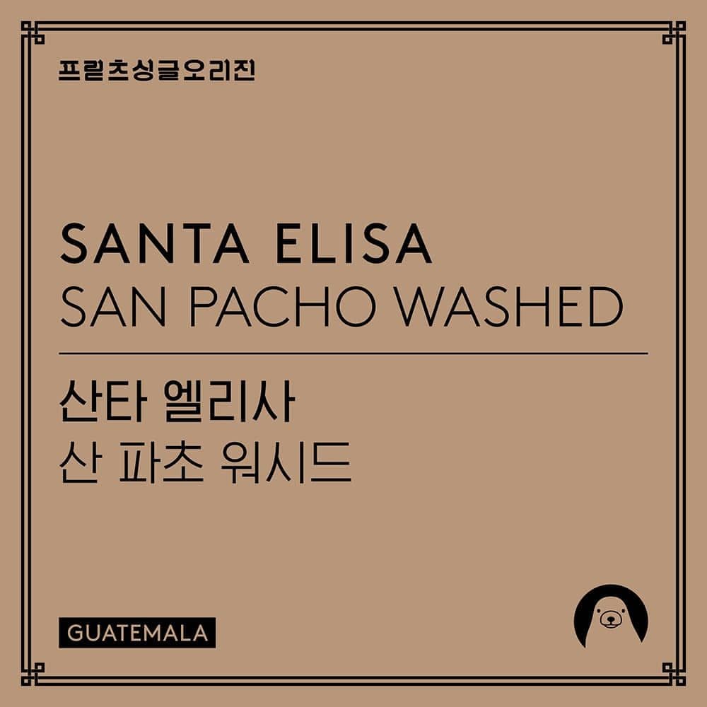 Image of Frits Santa Elisa San pacho Washed